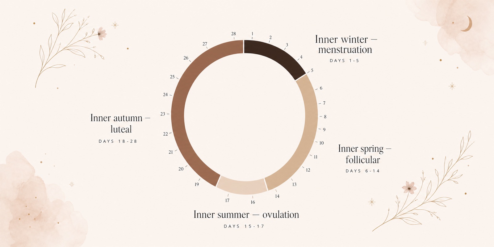 A wheel of the menstrual cycle drawn as four inner seasons: winter and menstruation on days 1 to 5, spring and the follicular phase on days 6 to 14, summer and ovulation on days 15 to 17, autumn and the luteal phase on days 18 to 28