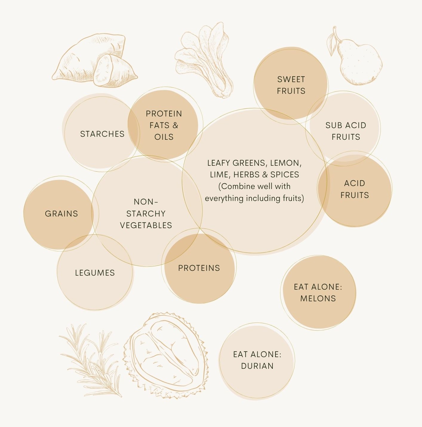 A food combining chart showing which food groups combine well together, with starches and proteins kept apart, non-starchy vegetables overlapping both, and melons and durian eaten alone