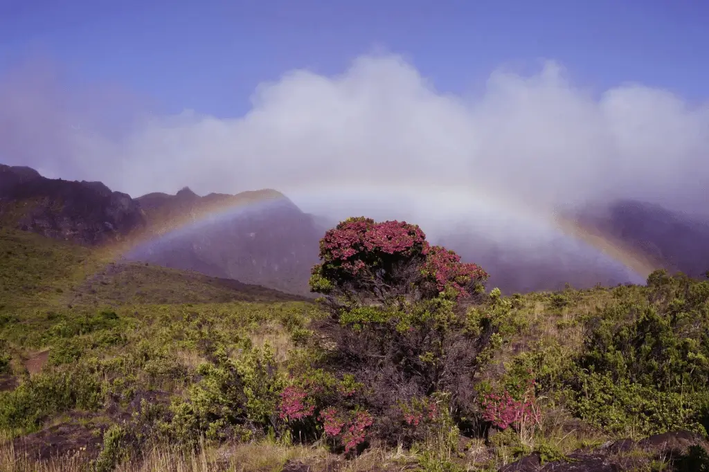 Haleakala volcano on Maui, Hawaii, whose name means house of the sun